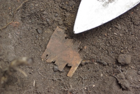 A bone comb! Note the tightly spaced comb teeth (some of which are missing) along the margins of the comb. Lovely find! 
