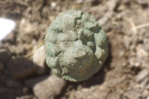 A second lion's head, just as it appeared when we uncovered it in the dirt.  